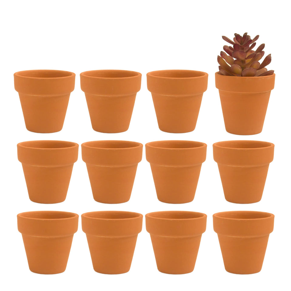 Fcacti 12-piece mini clay pots with drainage holes for succulents