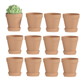 Fcacti 3-inch terracotta pot with saucer displaying drainage, ideal for succulents.