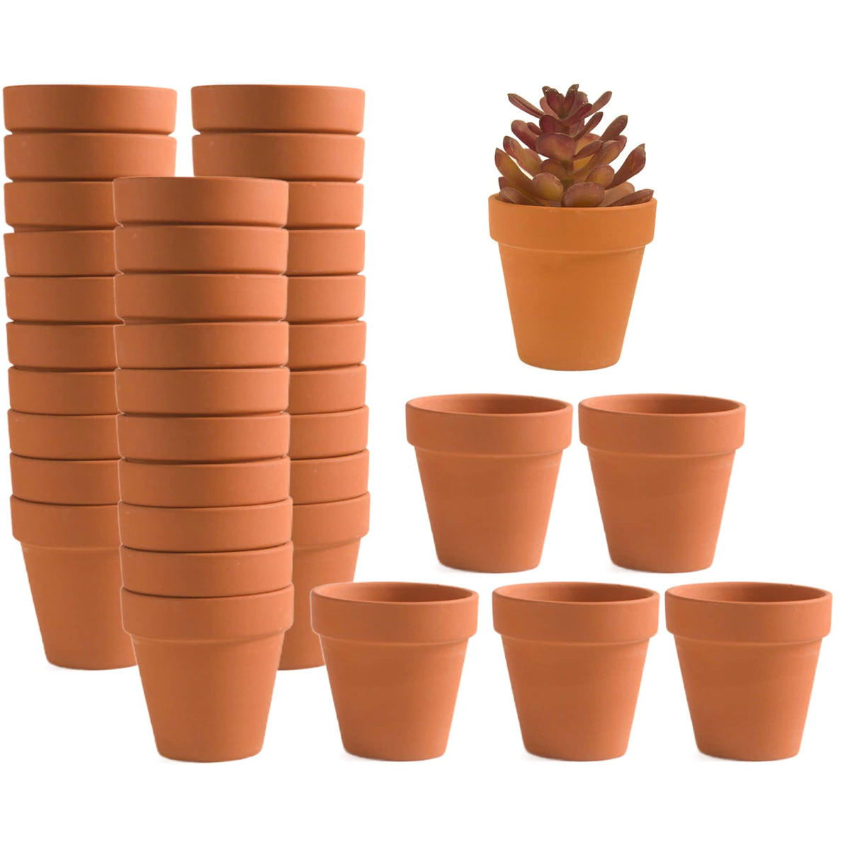 Fcacti 36-pack mini clay pots with drainage holes promote healthy root airflow