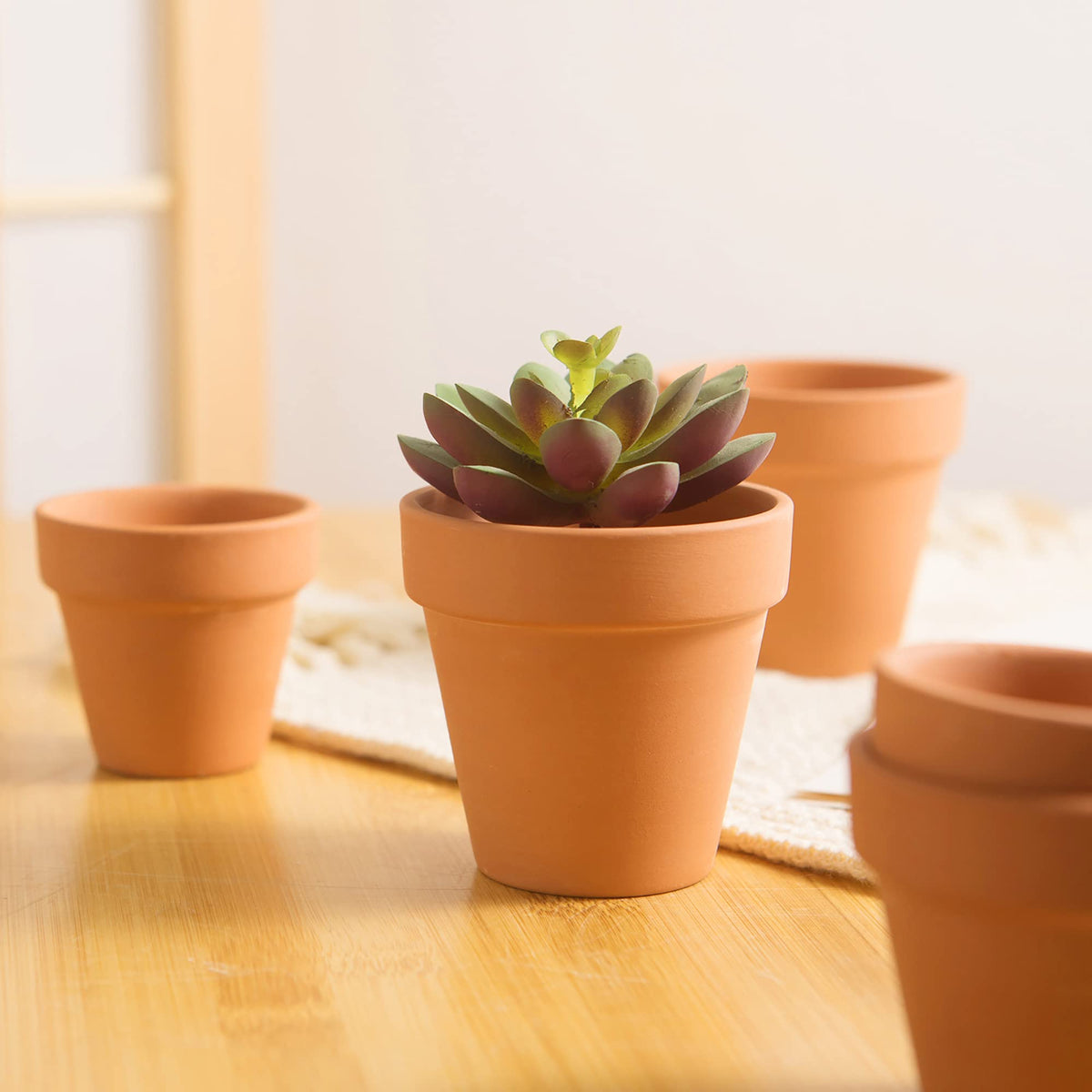 Fcacti desk decor mini pots ready for home or office setup