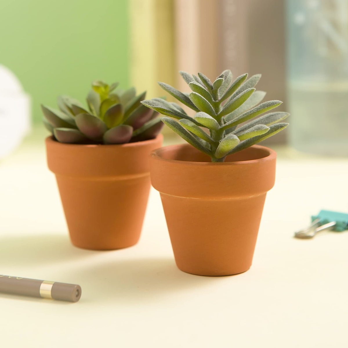 Fcacti compact planters for desks and windowsills enhance home or office decor.