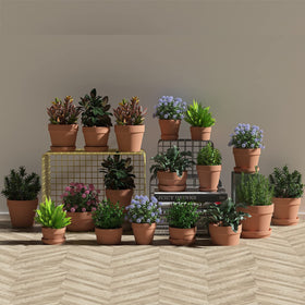 Fcacti pack of 12 terra-cotta pots ready for weddings or crafts.