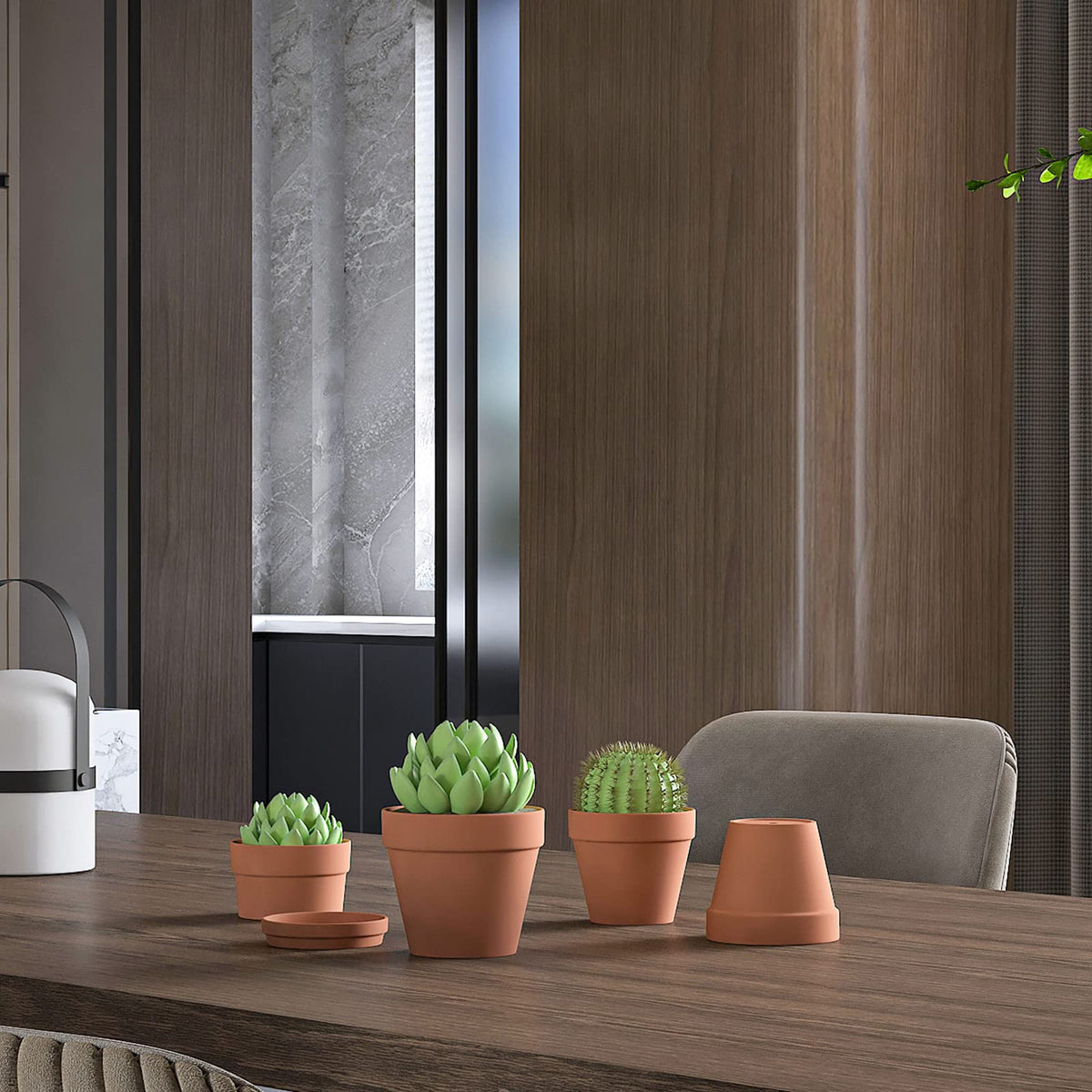 Fcacti small pots on balcony or windowsill show compact indoor gardening options.