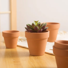Fcacti small pots ideal for succulents, cacti, and herbs in DIY projects.