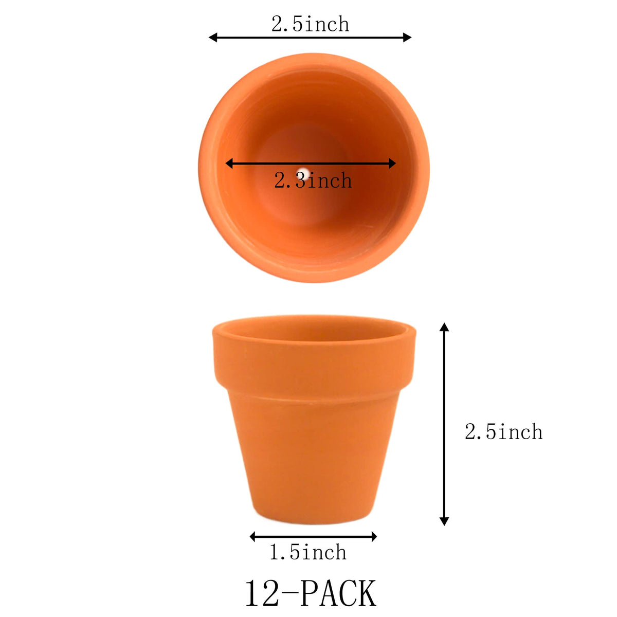 Fcacti terracotta pot close-up shows smooth texture and natural finish