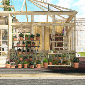 Fcacti terracotta pot with drainage holes supports soil ventilation for healthier roots.