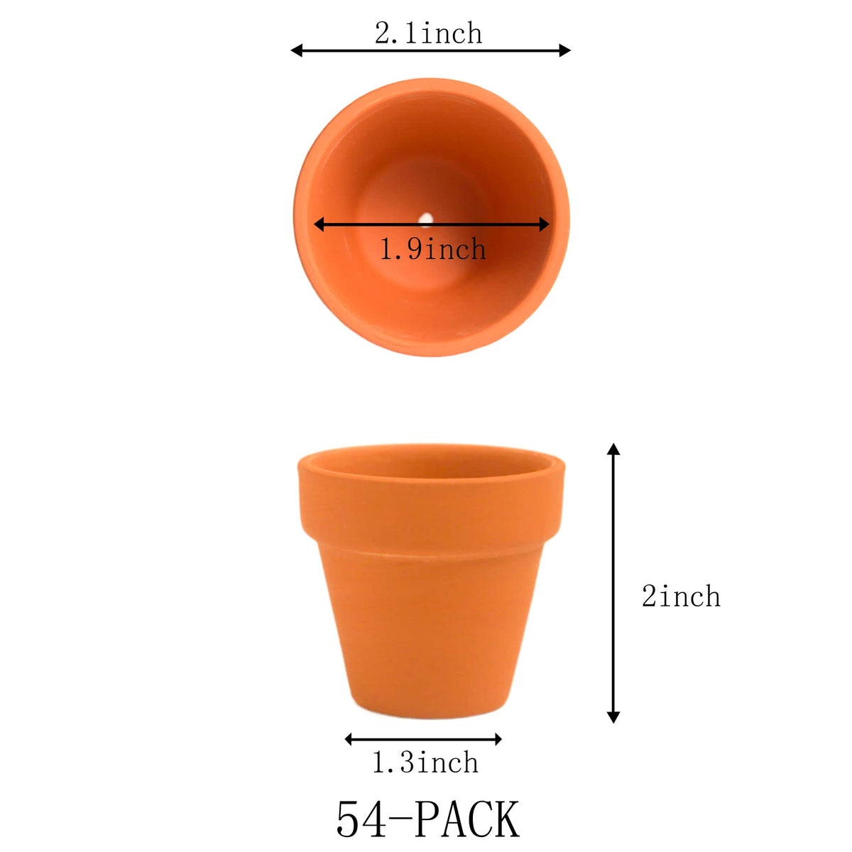 Fcacti terracotta pot with drainage holes supports healthy soil and root airflow.