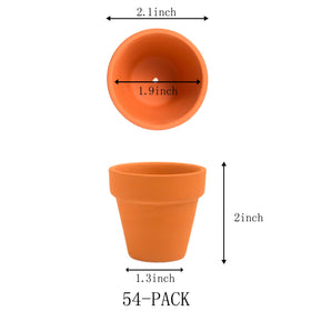 Fcacti terracotta pot with drainage holes supports healthy soil and root airflow.