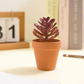 Fcacti terracotta pots pack for crafts and gifts