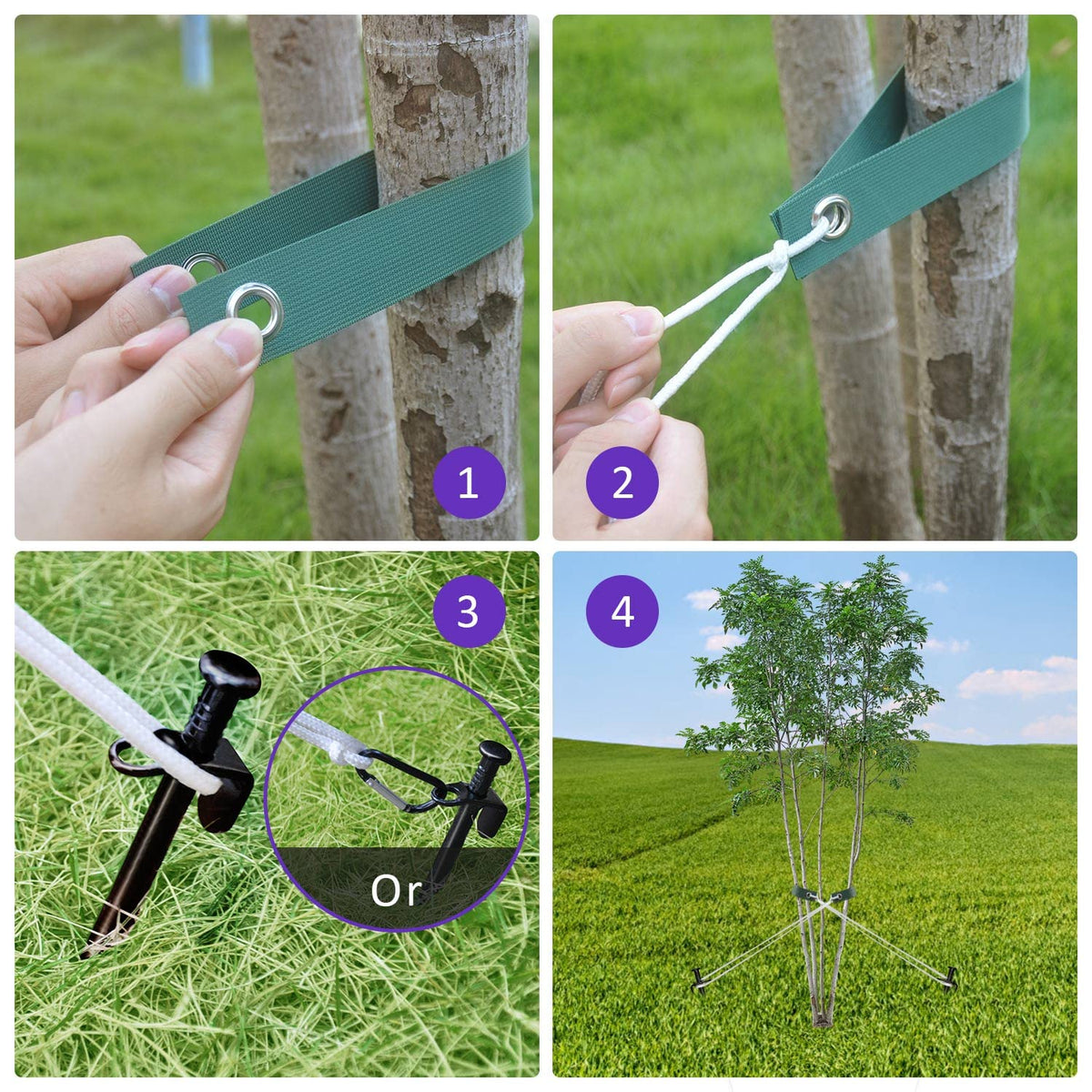 FCENDS steel tree stakes support growing trees in soil