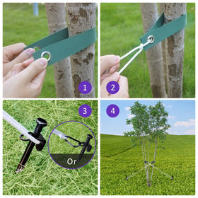 FCENDS steel tree stakes support growing trees in soil