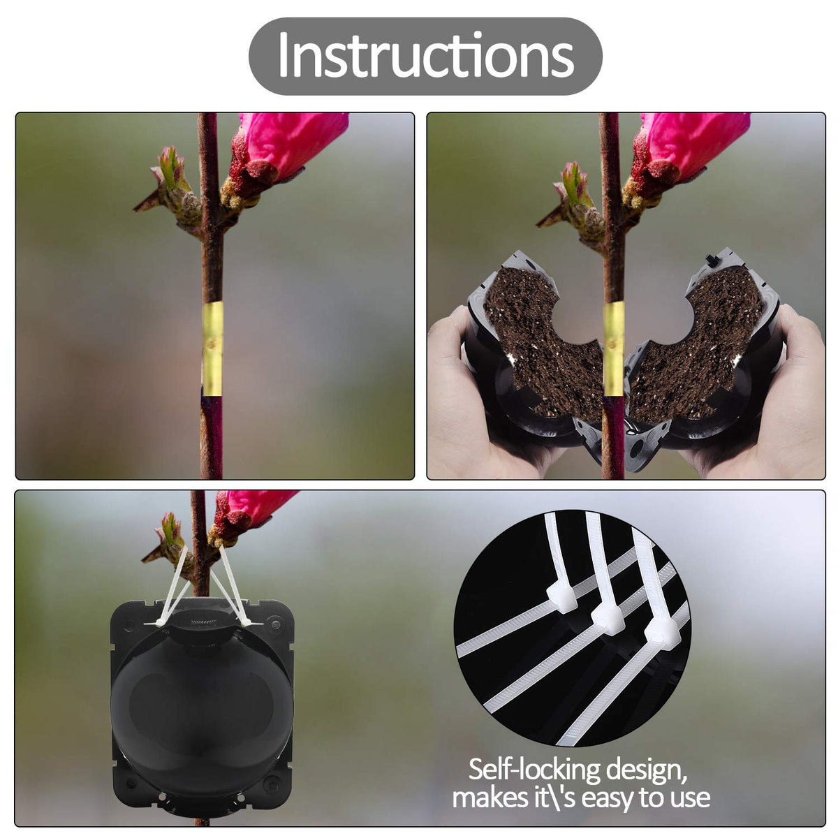 FCENDS reusable propagation boxes reduce waste while supporting safe cloning.