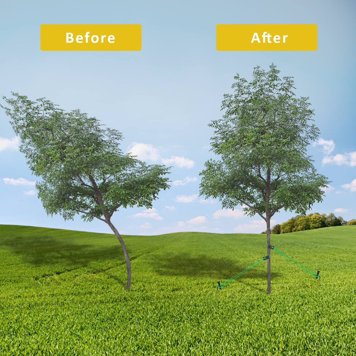 FCENDS complete kit helps young trees grow straight and healthy