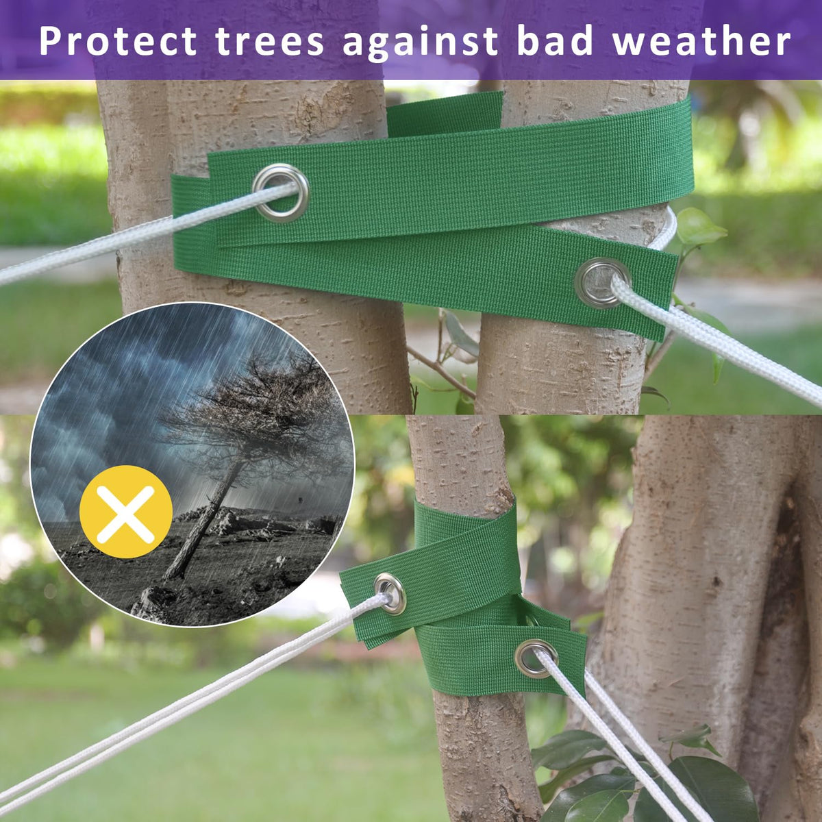 Close-up of FCENDS straps showing flexible webbing protecting bark