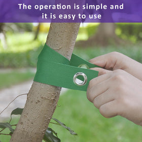 FCENDS straps arranged for outdoor tent setup and plant support