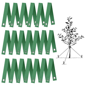 FCENDS tree straps staking a young sapling for upright growth