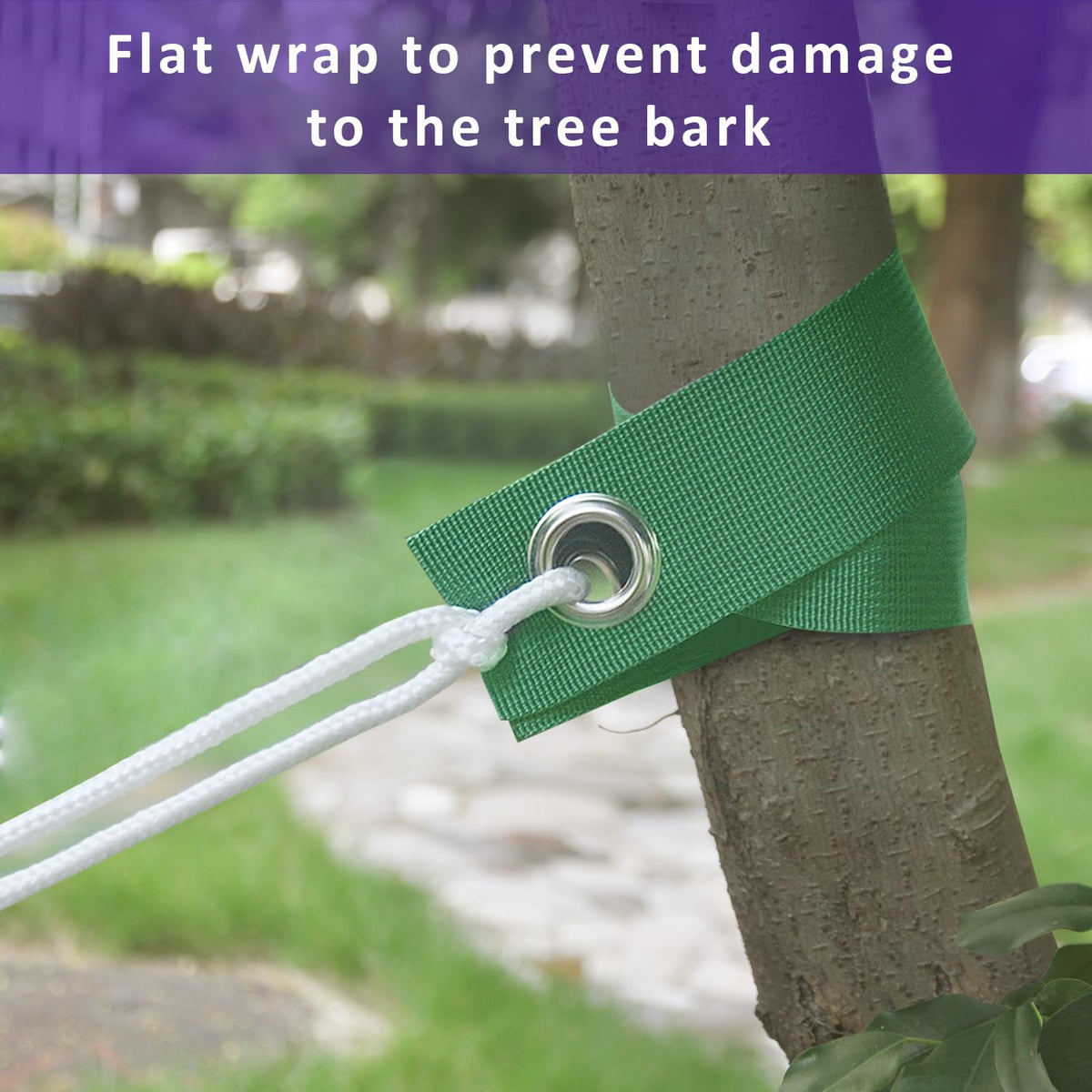 FCENDS straps in use for tree straightening and growth guidance