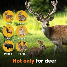 fcesiweg deer repellent applied to garden beds helps keep rabbits away