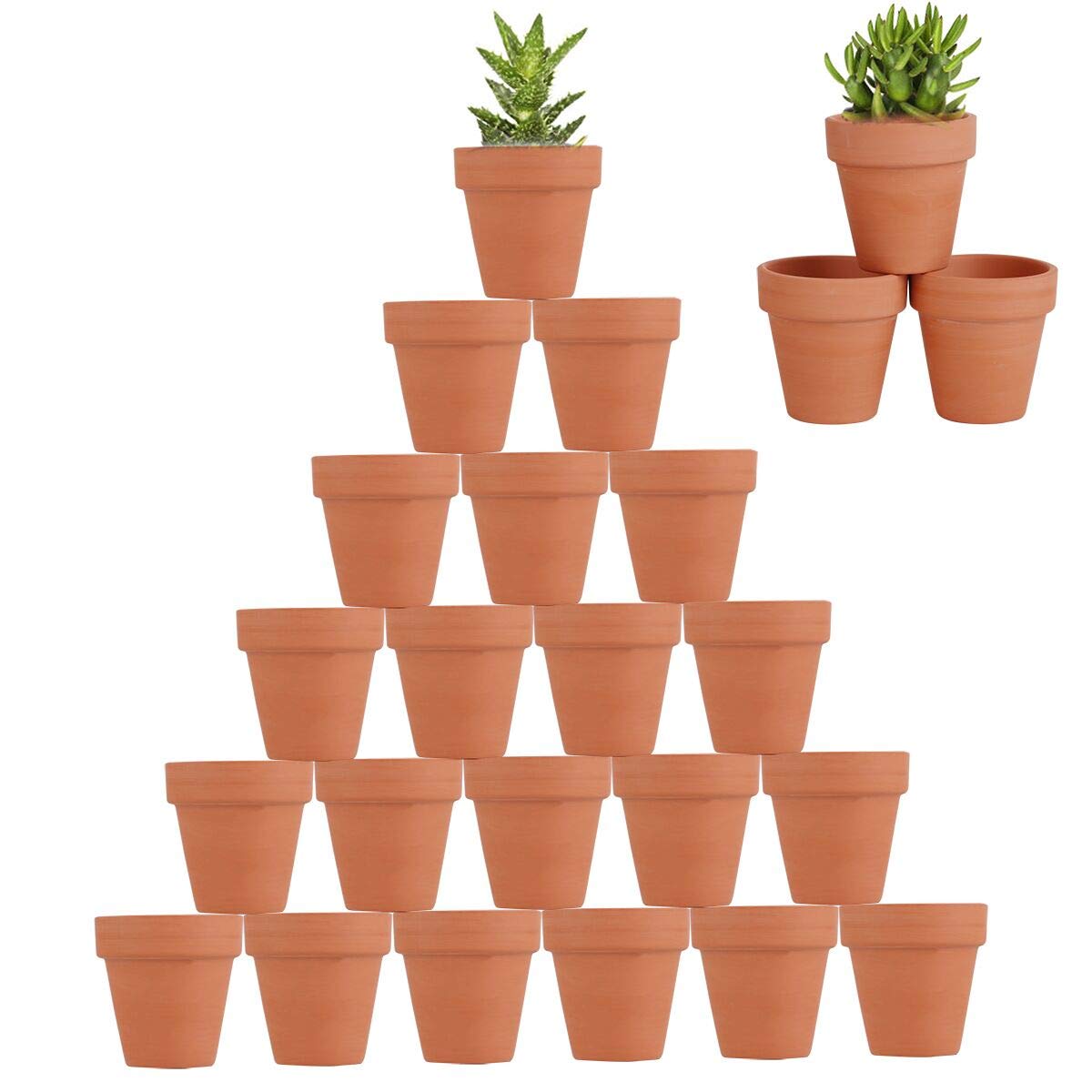 FCFKUK 2.5 inch pot for indoor decorative gardening and gifts