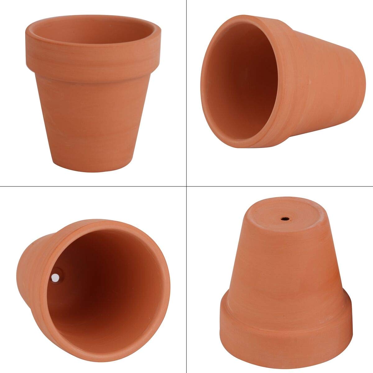 FCFKUK cactus succulent nursery pots for well-drained soil and easy care