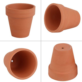 FCFKUK cactus succulent nursery pots for well-drained soil and easy care
