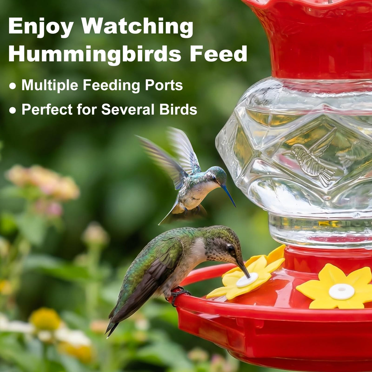 Fchstaer 18oz Diamond Feeder shows nectar level for timely refills.
