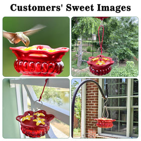 Fchstaer gift-ready hummingbird feeder for bird lovers and gardeners.