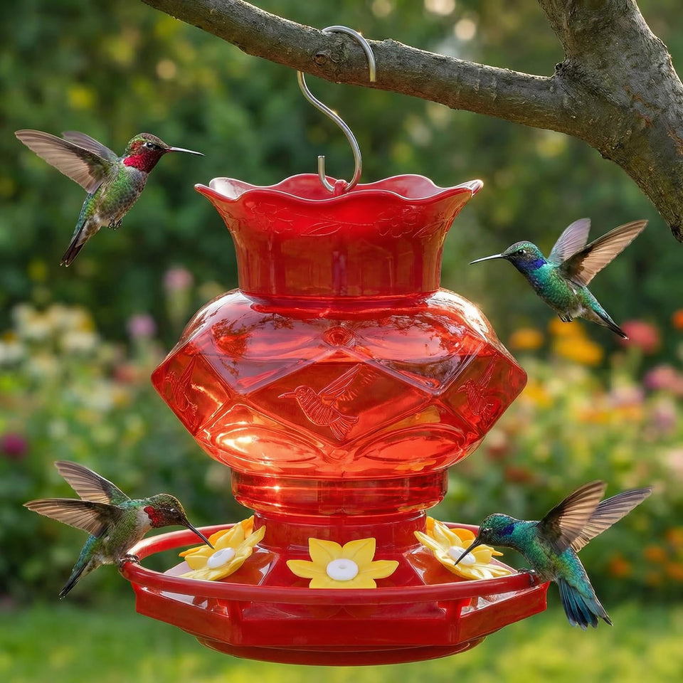 Fchstaer hummingbird feeder with diamond design attracts garden birds