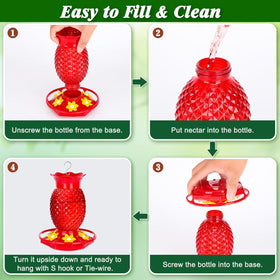 Fchstaer Pineapple red glass feeder makes a charming garden gift