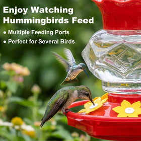 Fchstaer six-port feeder facilitates shared nectar visits