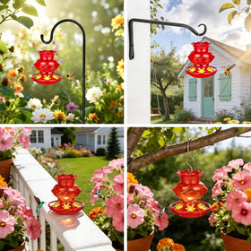 Fchstaer two-pack display ready for yard arrangement