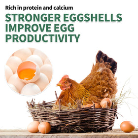 FCI GRUBS BSF larvae have a crispy texture that aids digestion and appeal.