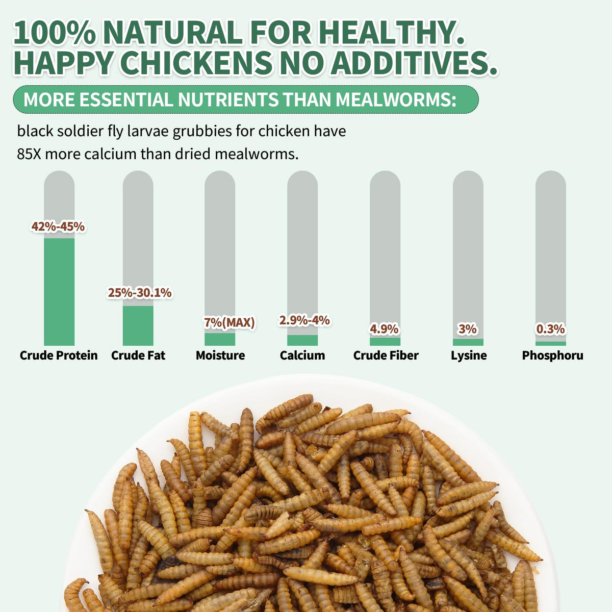 FCI GRUBS BSF larvae for hand feeding to boost flock health.
