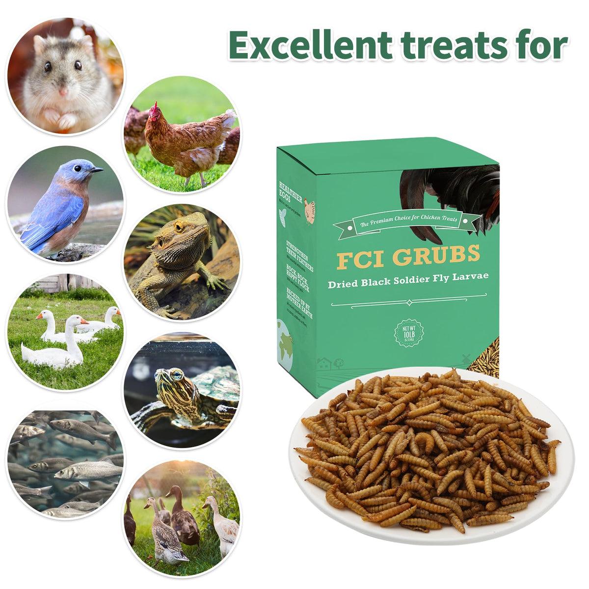 FCI GRUBS 10lb resealable bag keeps larvae fresh for longer.