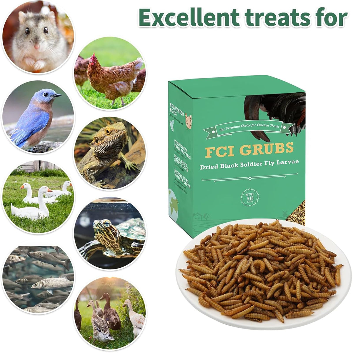 FCI GRUBS ducks and wild birds treat outdoors may support feather health