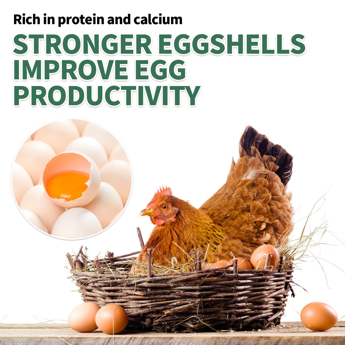FCI GRUBS egg-shell detail highlighting potential shell strength support