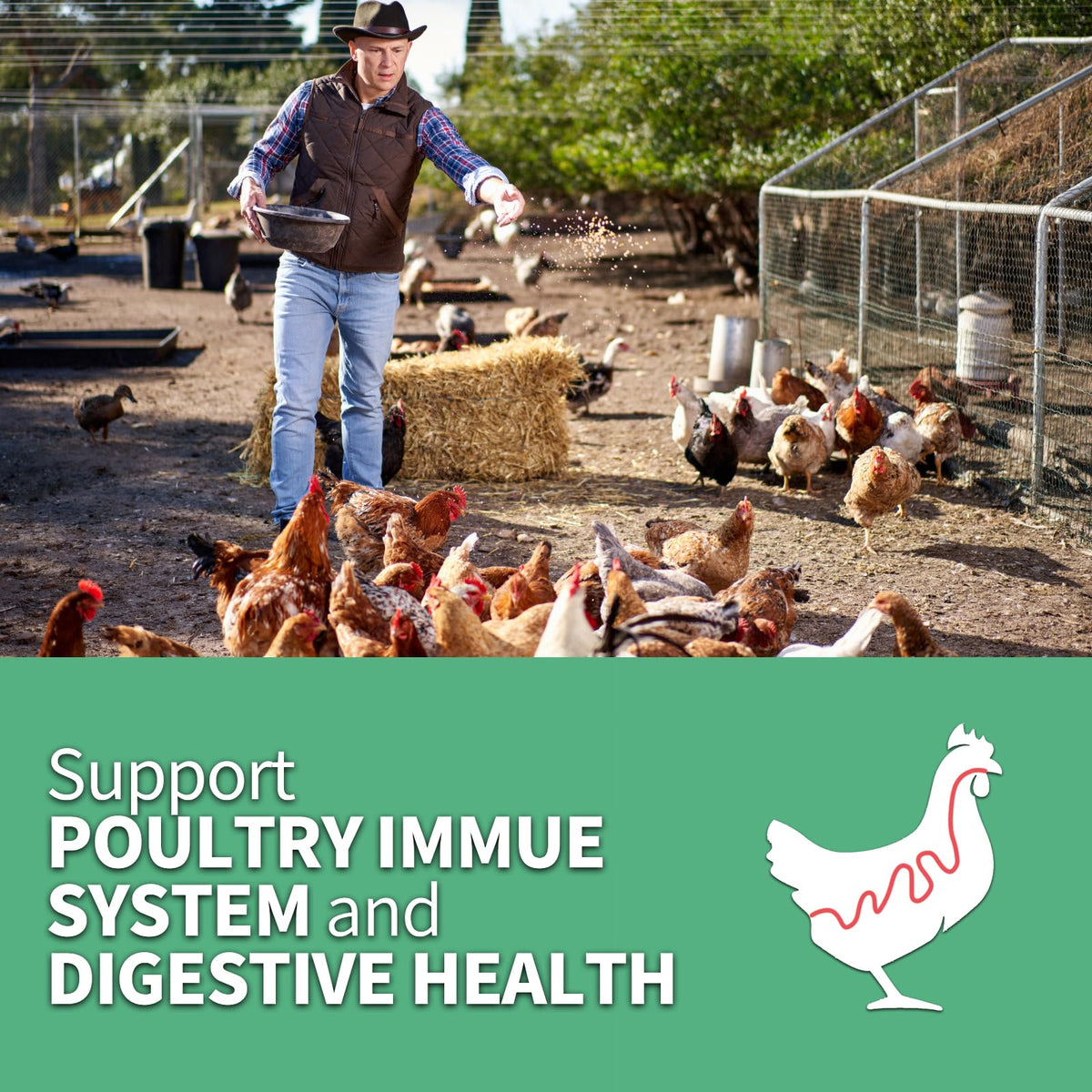FCI GRUBS storage and coop setup demonstrates simple feeding integration