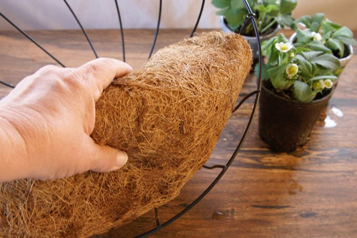 FDGARDEN easy-to-secure liner fits 12-inch baskets for quick upgrades.