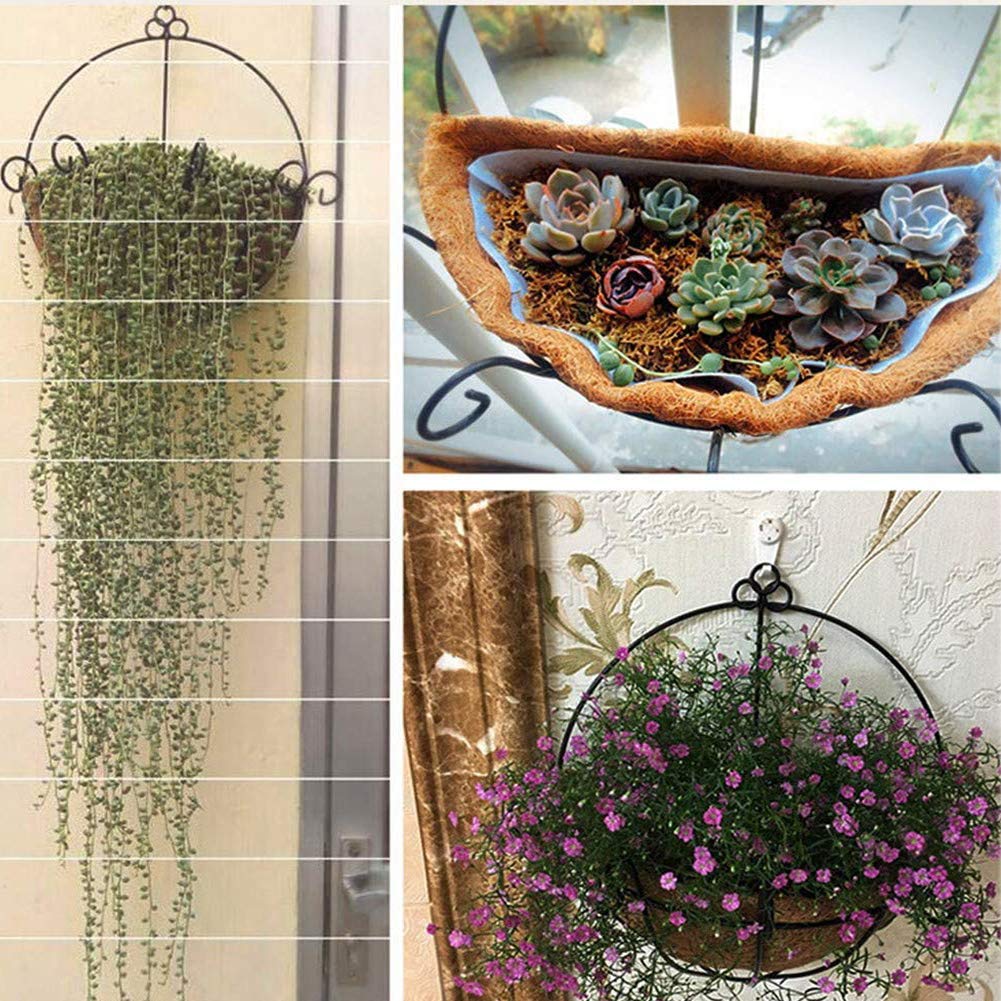 FDGARDEN natural brown coco liner enhances rustic aesthetic while moisture retention.
