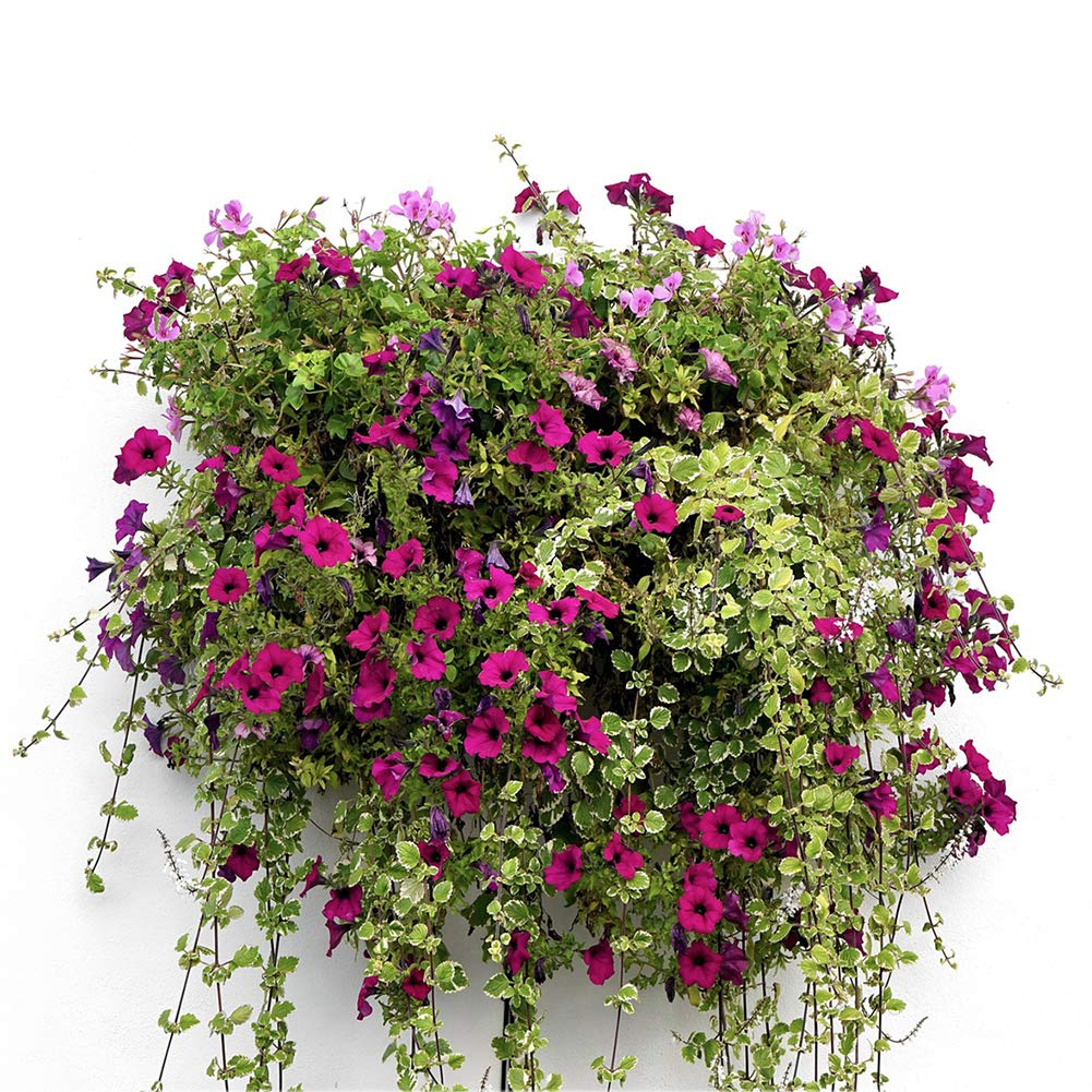 FDGARDEN two-pack liners provide affordable replacements for home planters.