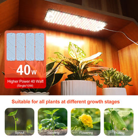 Close-up of 192 LEDs per panel delivering even coverage