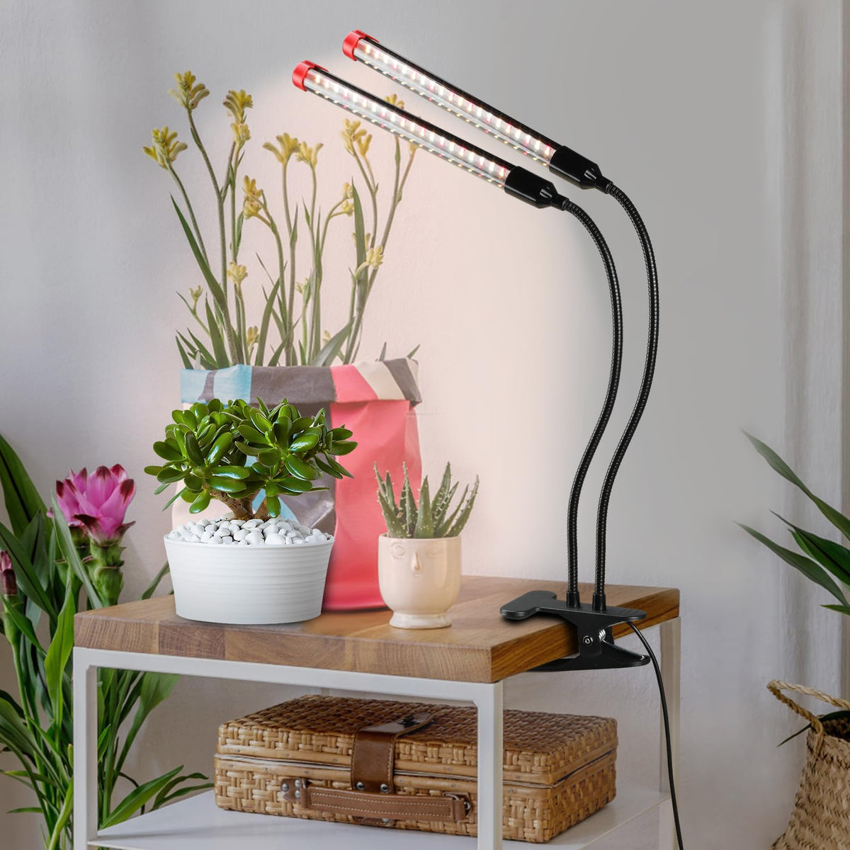 FECiDA grow light for small indoor plants delivers full spectrum brightness.