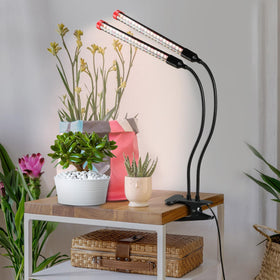 FECiDA grow light for small indoor plants delivers full spectrum brightness.