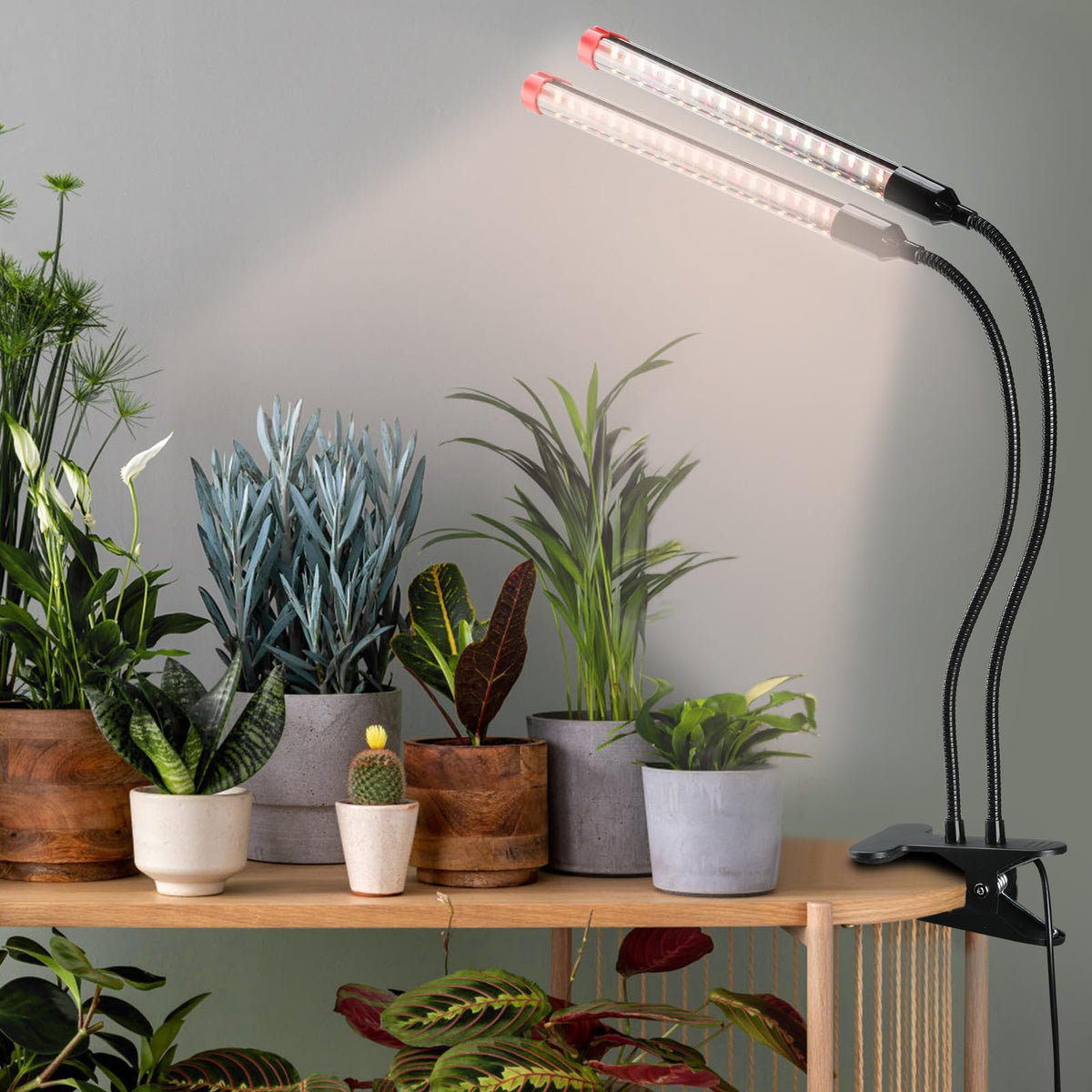FECiDA timer presets enable automated daily lighting schedules.