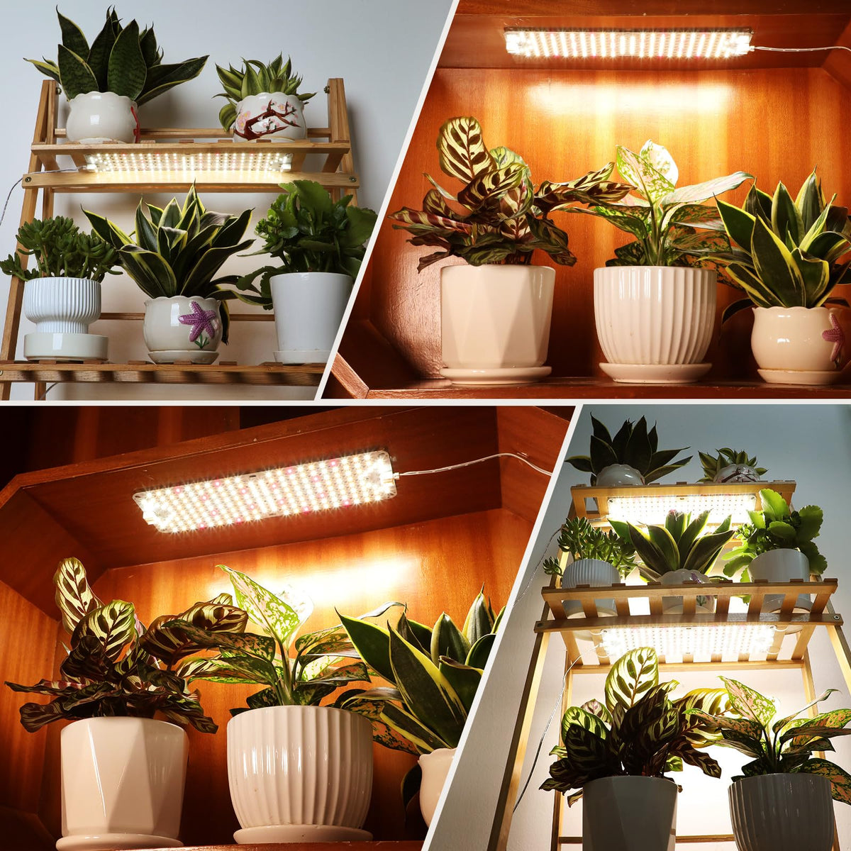 FECiDA 6-pack panel grow light timer function shows 4/8/12/16/20 hour options