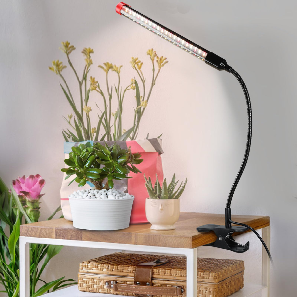 FECiDA adapter-free design reduces clutter and simplifies setup.