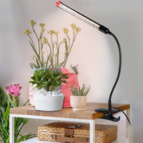 FECiDA adapter-free design reduces clutter and simplifies setup.