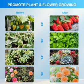 FECiDA bonsai indoor grow light provides targeted illumination for compact trees.