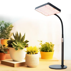 FECiDA desk grow light full-spectrum for indoor seedlings