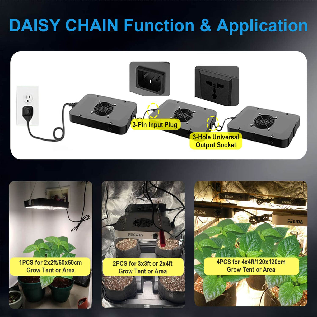 FECiDA full spectrum LED diodes provide a natural light range for robust growth